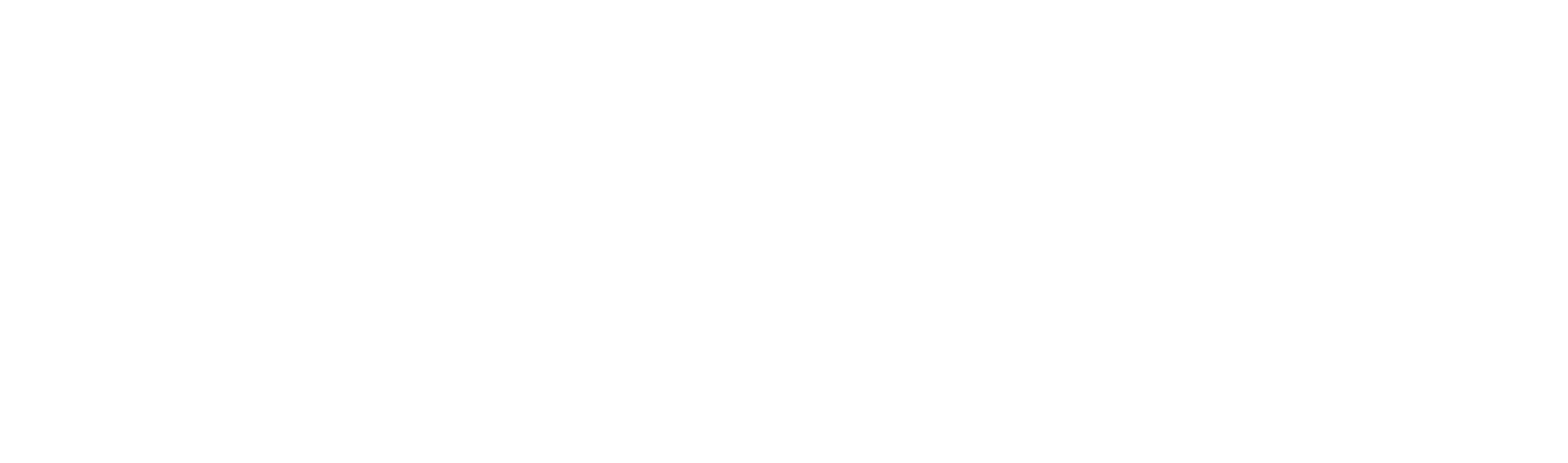 straight_wavy logo_WHT